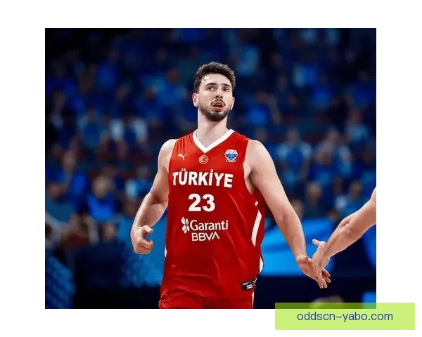 火箭现状引发热议 林书豪强调申京是关键 帕金斯批评缺乏球队文化